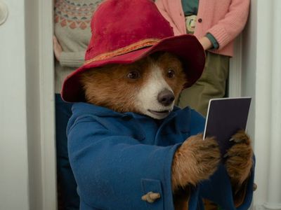 Paddington Bear's Passport Sparks a Mix of Joy and Controversy